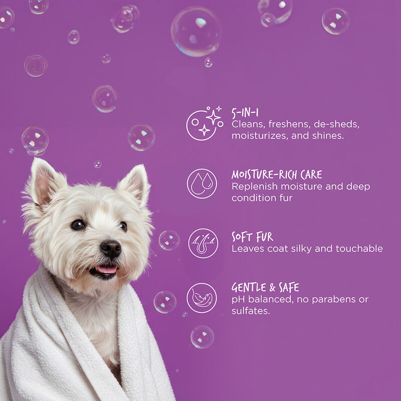CHI Vibes For Dogs 5 in 1 Shampoo and Conditioner, , large image number null